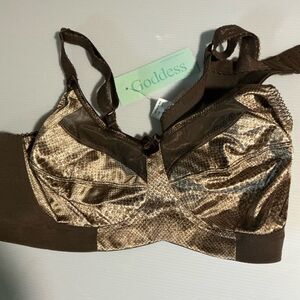 Goddess Chocolate‎ and Beige Bra 42B